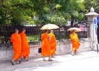 young Buddhist monks